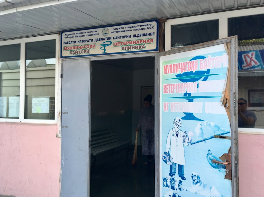 Клиника в душанбе. Клиники в душанбе. Клиники в душанбе. Клиника душанбе фото. Частный клиника в душанбе.